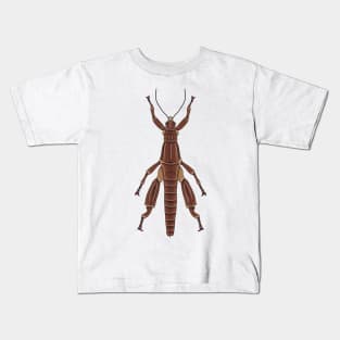 Male Lord Howe stick insect (Dryococelus australis) Kids T-Shirt